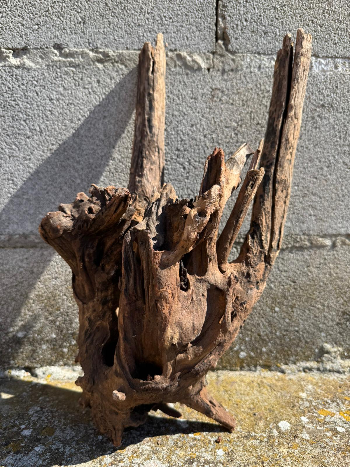 Drift Wood - 41*17*25 - cod.073 AQPET