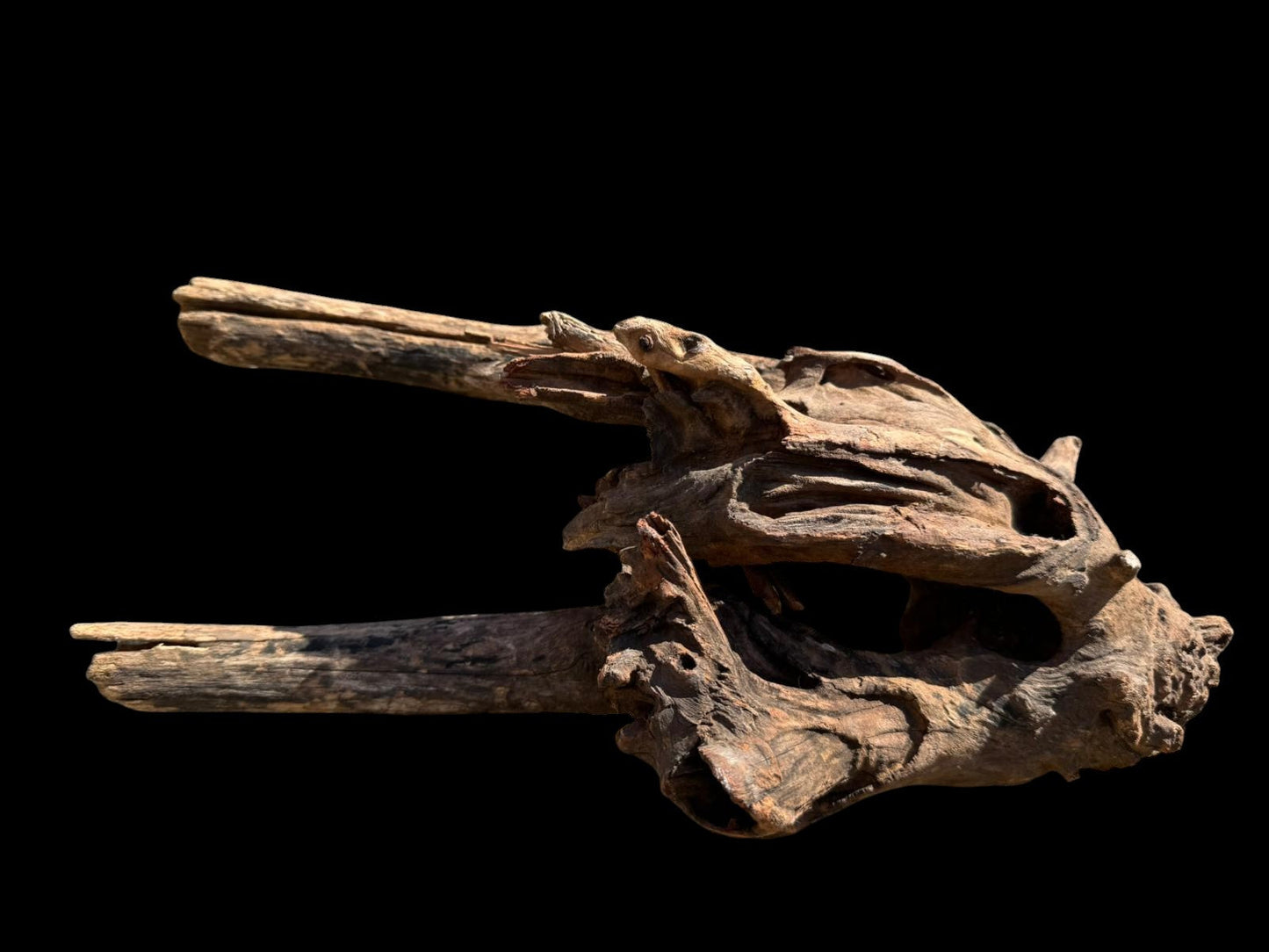 Drift Wood - 41*17*25 - cod.073 AQPET