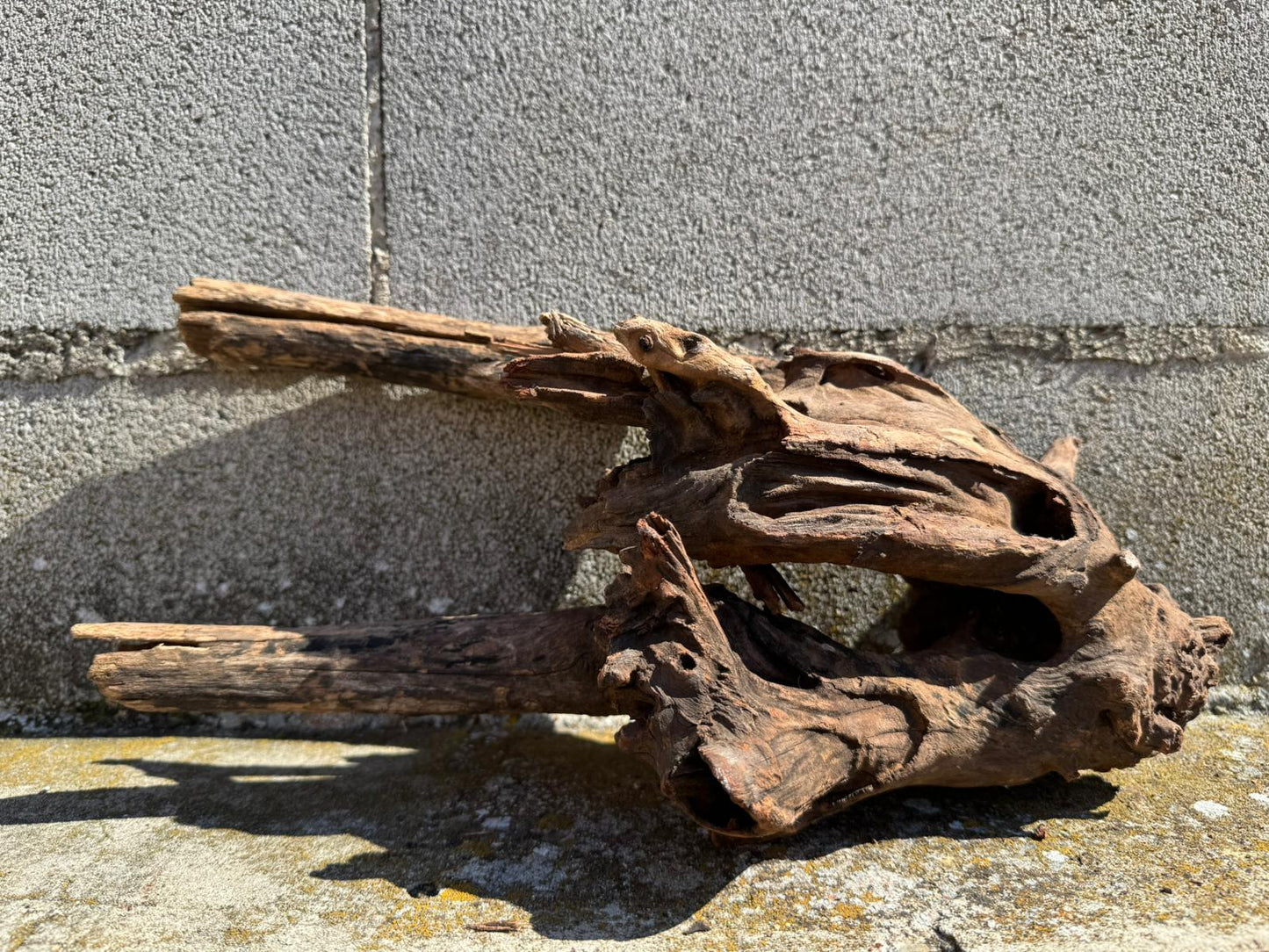Drift Wood - 41*17*25 - cod.073 AQPET