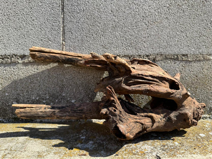 Drift Wood - 41*17*25 - cod.073 AQPET