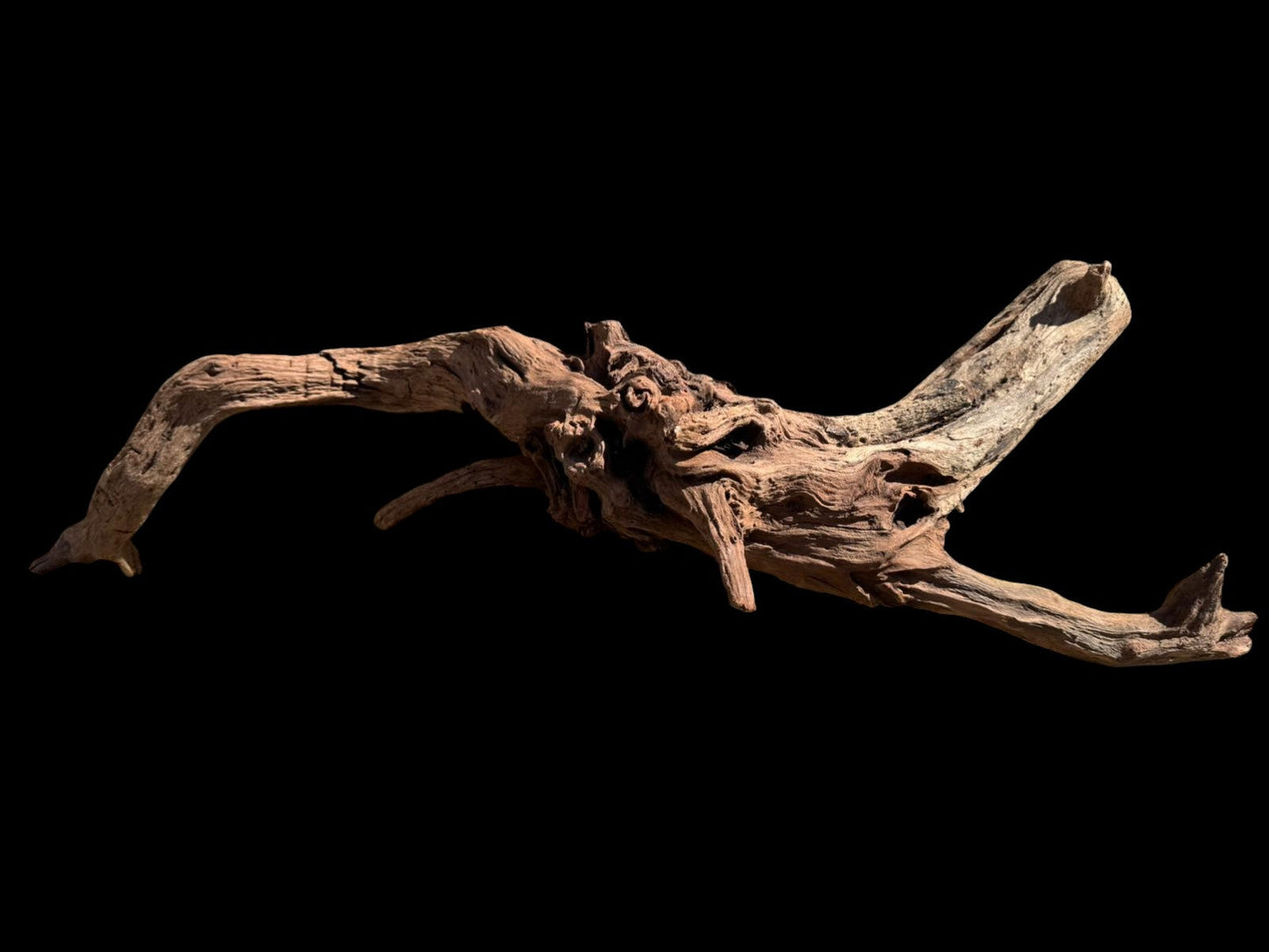 Drift Wood - 69*18*22 - cod.074 AQPET
