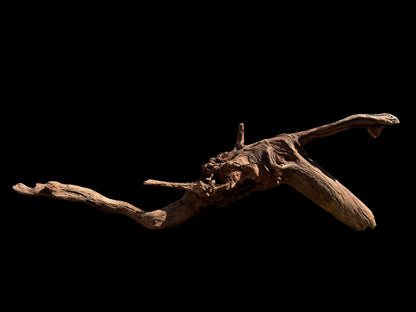Drift Wood - 69*18*22 - cod.074 AQPET