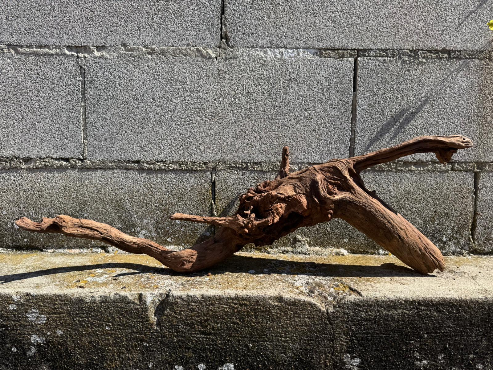 Drift Wood - 69*18*22 - cod.074 AQPET