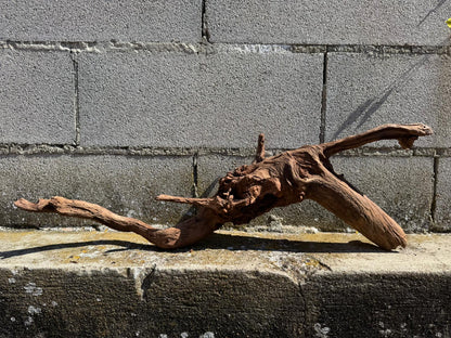 Drift Wood - 69*18*22 - cod.074 AQPET