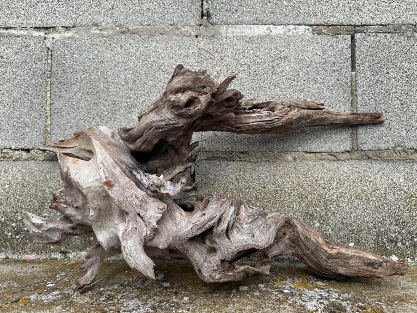 Drift Wood - 55*17*26 - cod.076 AQPET