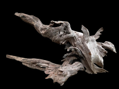 Drift Wood - 55*17*26 - cod.076 AQPET