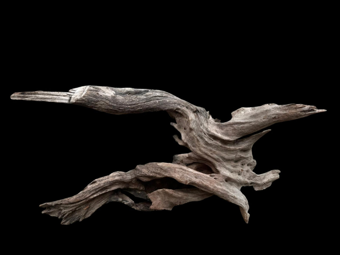 Drift Wood - 55*17*26 - cod.076 AQPET