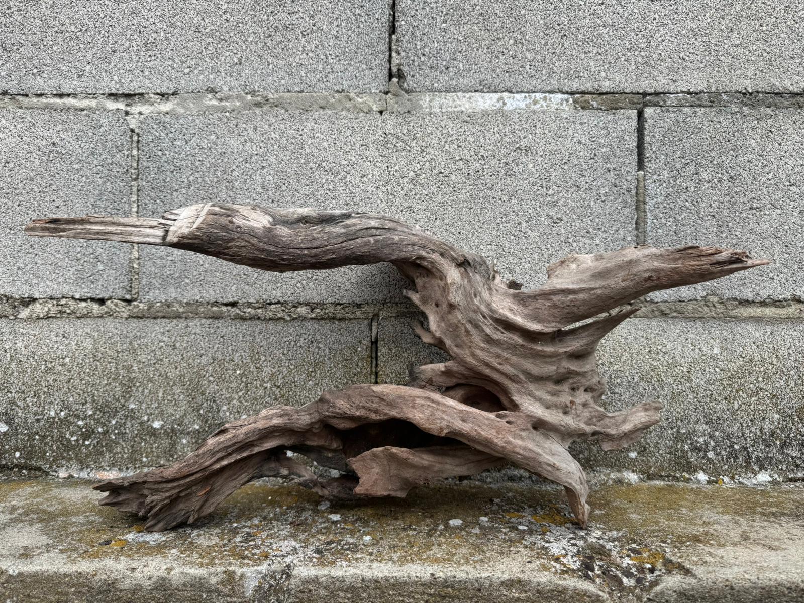 Drift Wood - 55*17*26 - cod.076 AQPET