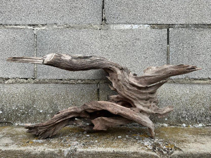 Drift Wood - 55*17*26 - cod.076 AQPET