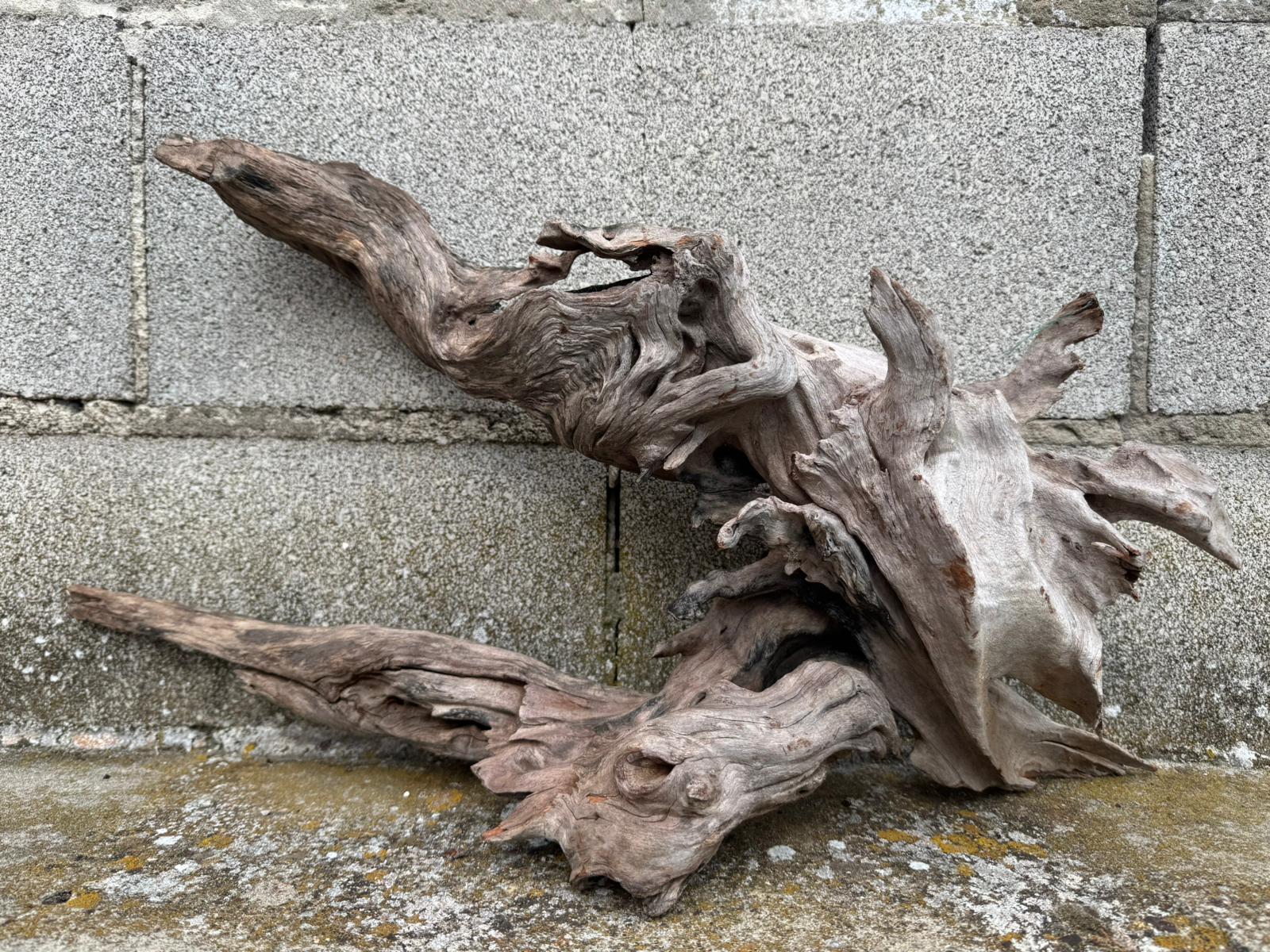 Drift Wood - 55*17*26 - cod.076 AQPET
