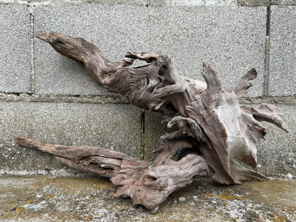 Drift Wood - 55*17*26 - cod.076 AQPET