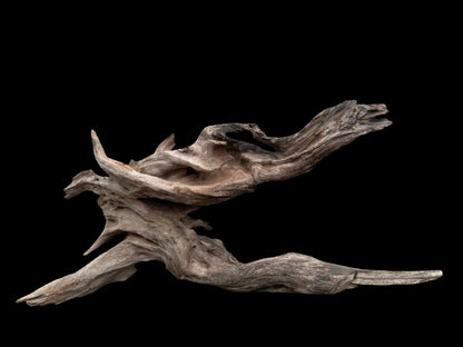 Drift Wood - 55*17*26 - cod.076 AQPET