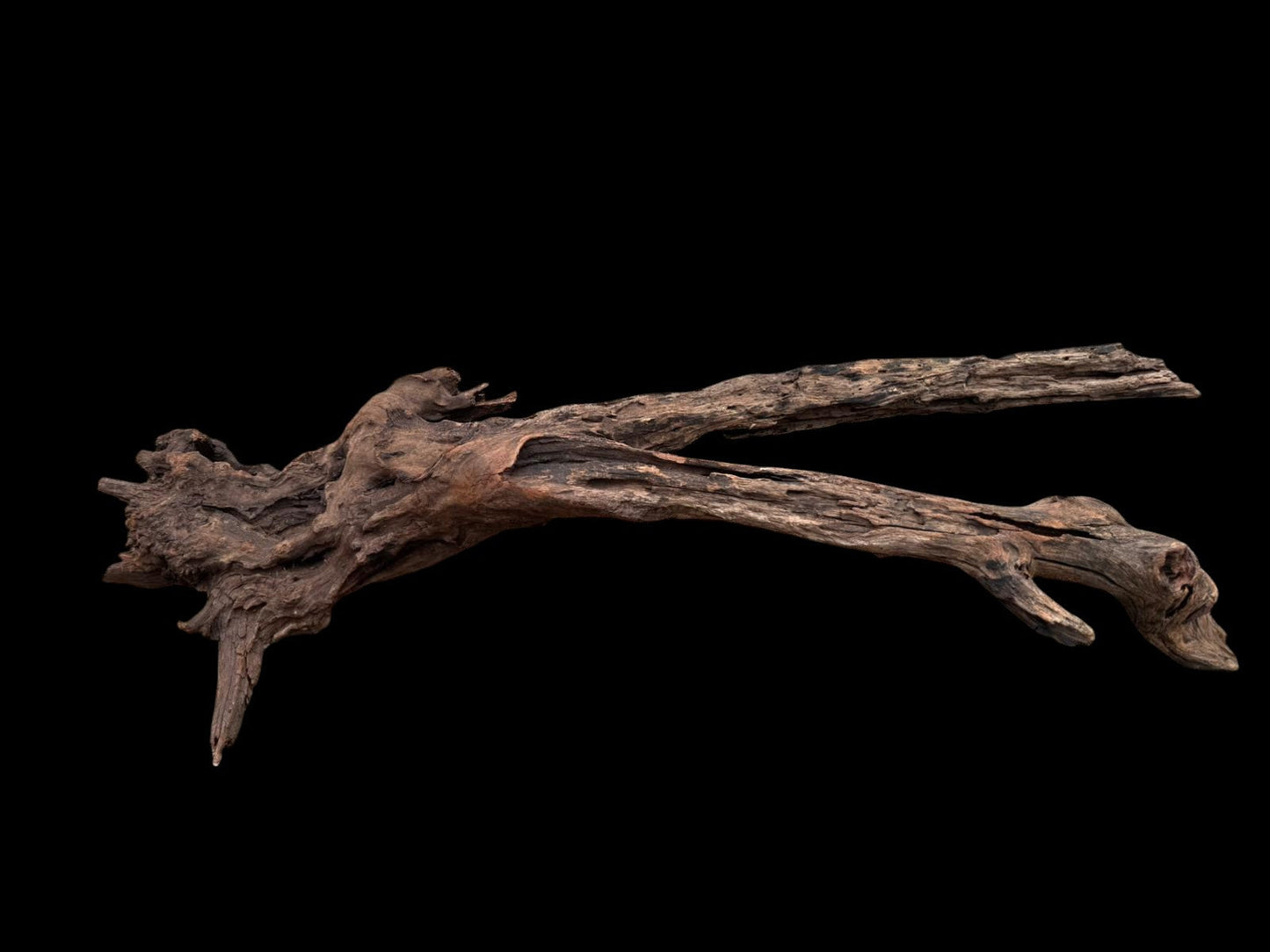 Drift Wood - 81*28*24 - cod.077 AQPET