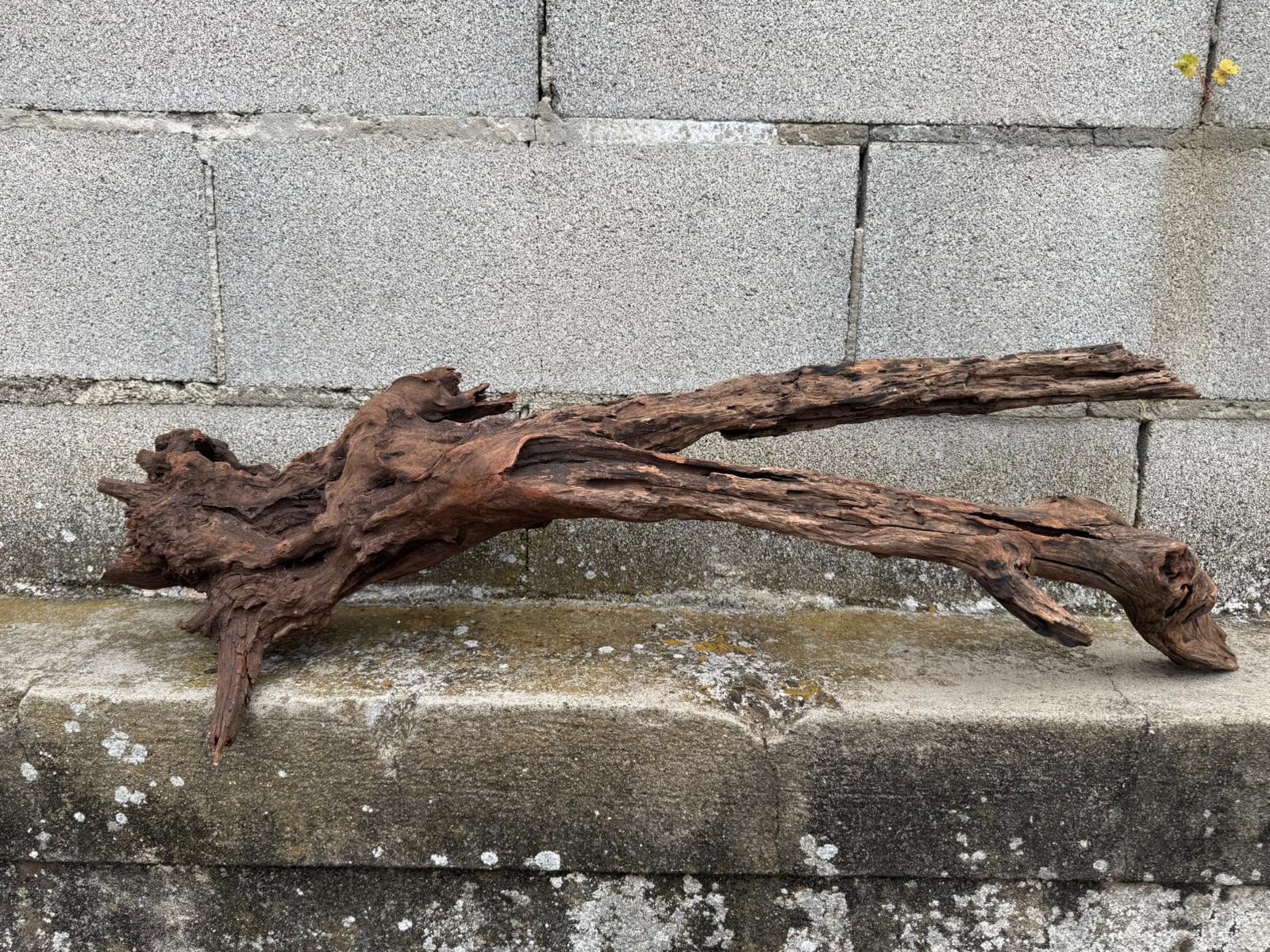 Drift Wood - 81*28*24 - cod.077 AQPET