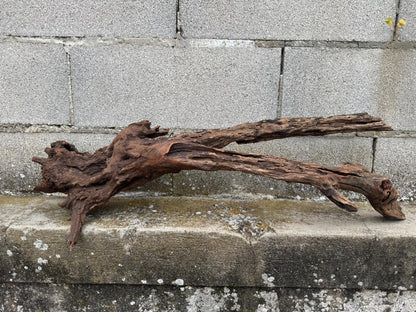 Drift Wood - 81*28*24 - cod.077 AQPET