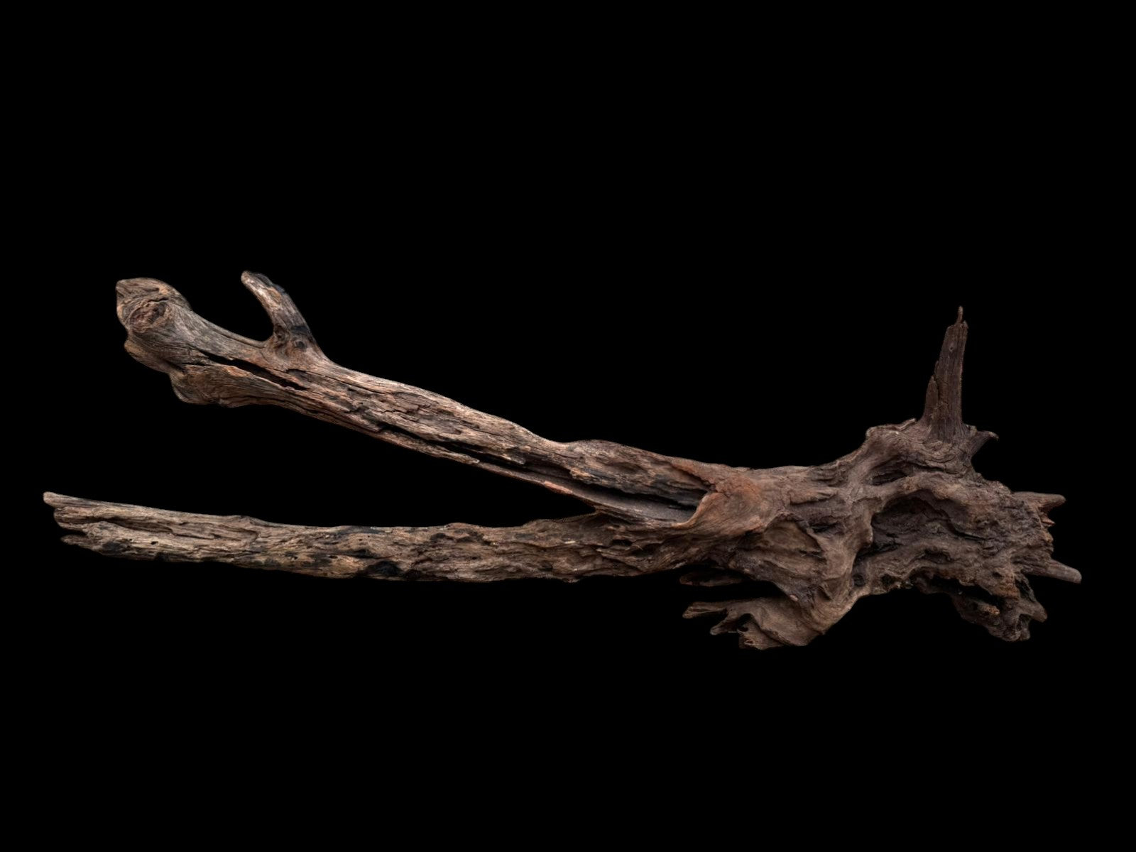 Drift Wood - 81*28*24 - cod.077 AQPET