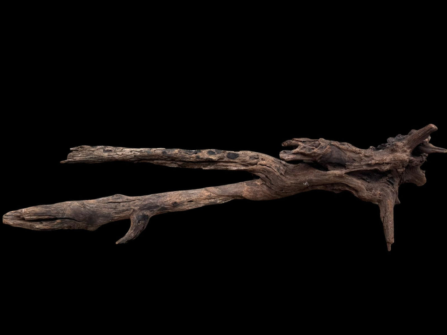 Drift Wood - 81*28*24 - cod.077 AQPET