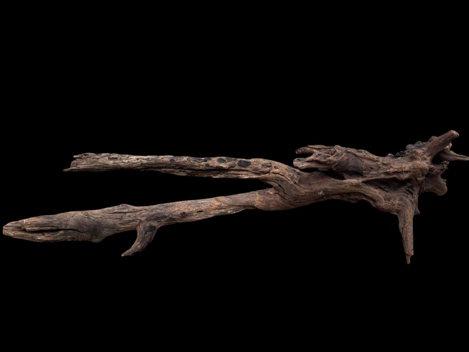 Drift Wood - 81*28*24 - cod.077 AQPET