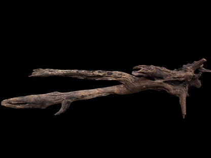 Drift Wood - 81*28*24 - cod.077 AQPET