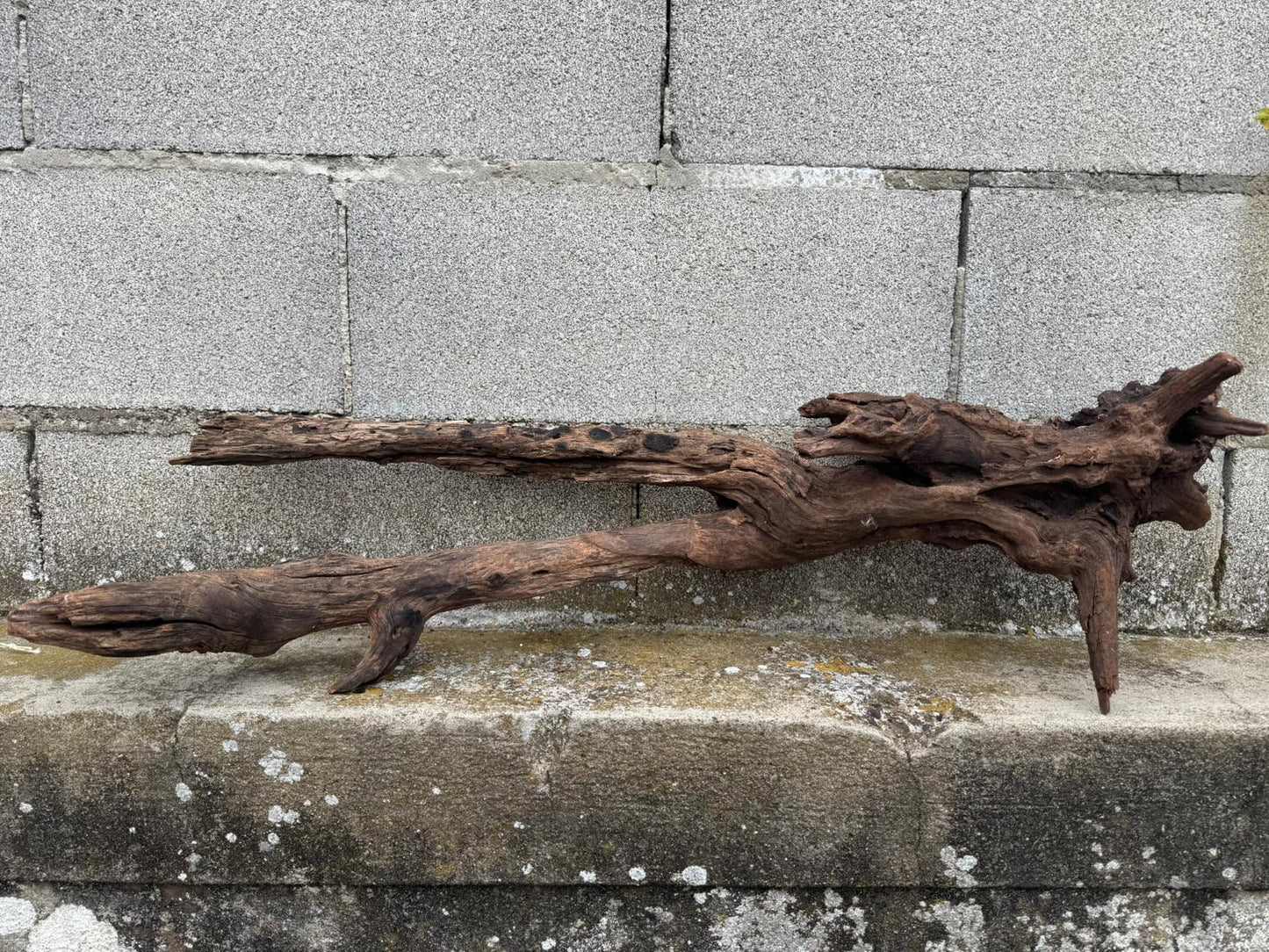 Drift Wood - 81*28*24 - cod.077 AQPET