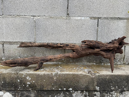 Drift Wood - 81*28*24 - cod.077 AQPET