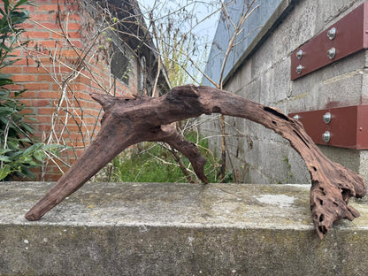 Drift Wood - 76*47*36 - cod.078 AQPET