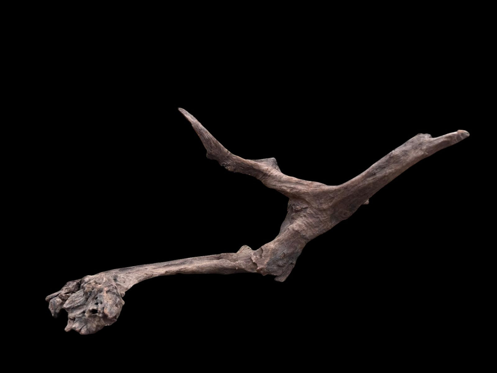 Drift Wood - 76*47*36 - cod.078 AQPET