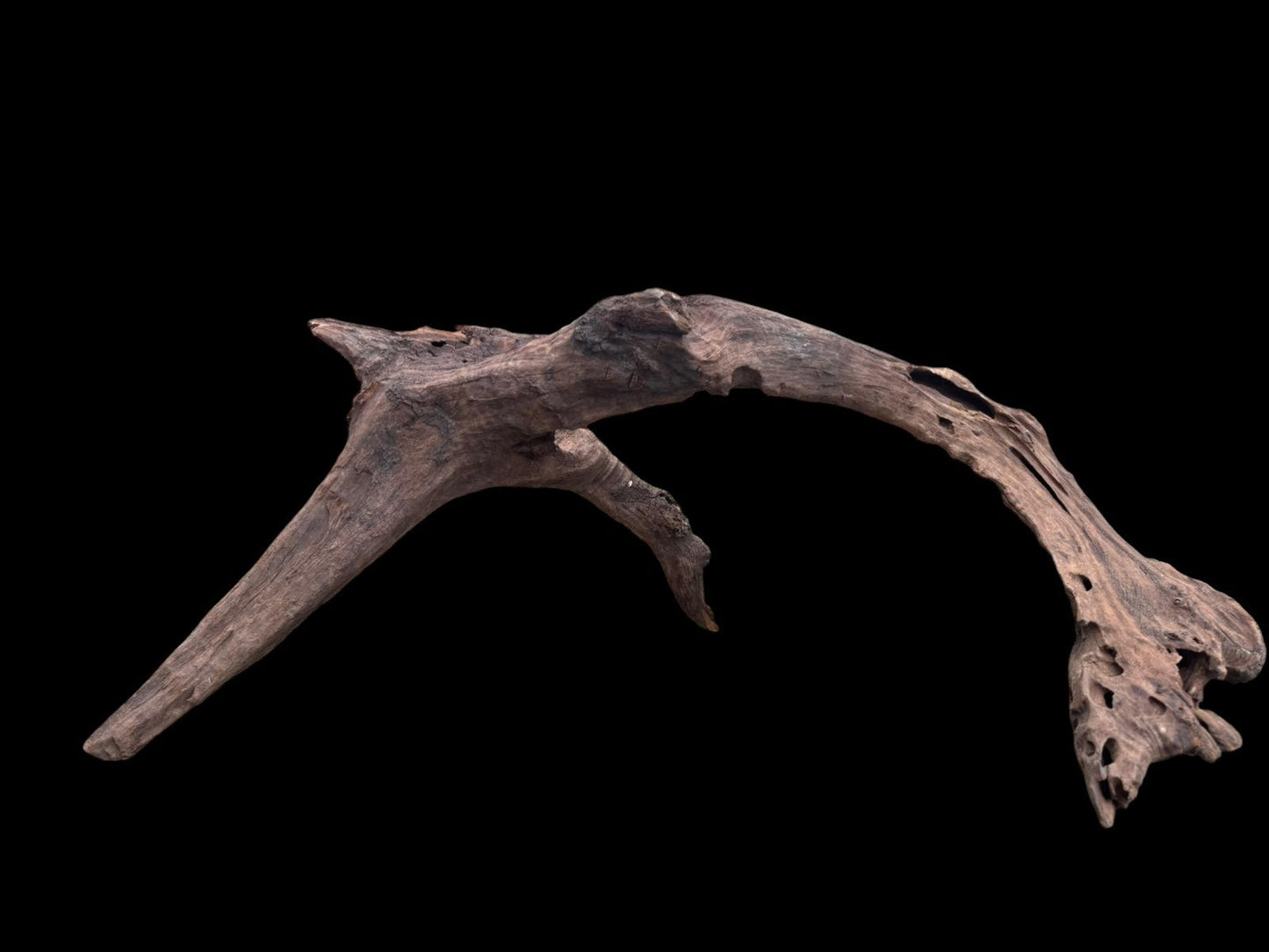 Drift Wood - 76*47*36 - cod.078 AQPET