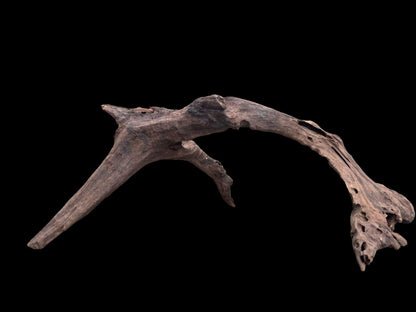 Drift Wood - 76*47*36 - cod.078 AQPET