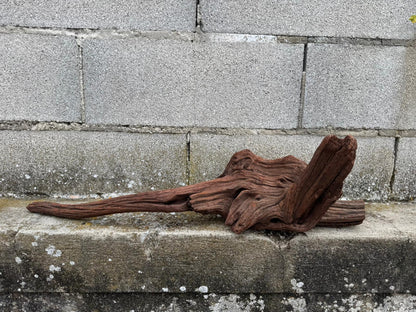 Drift Wood - 67*16*27 - cod.079 AQPET