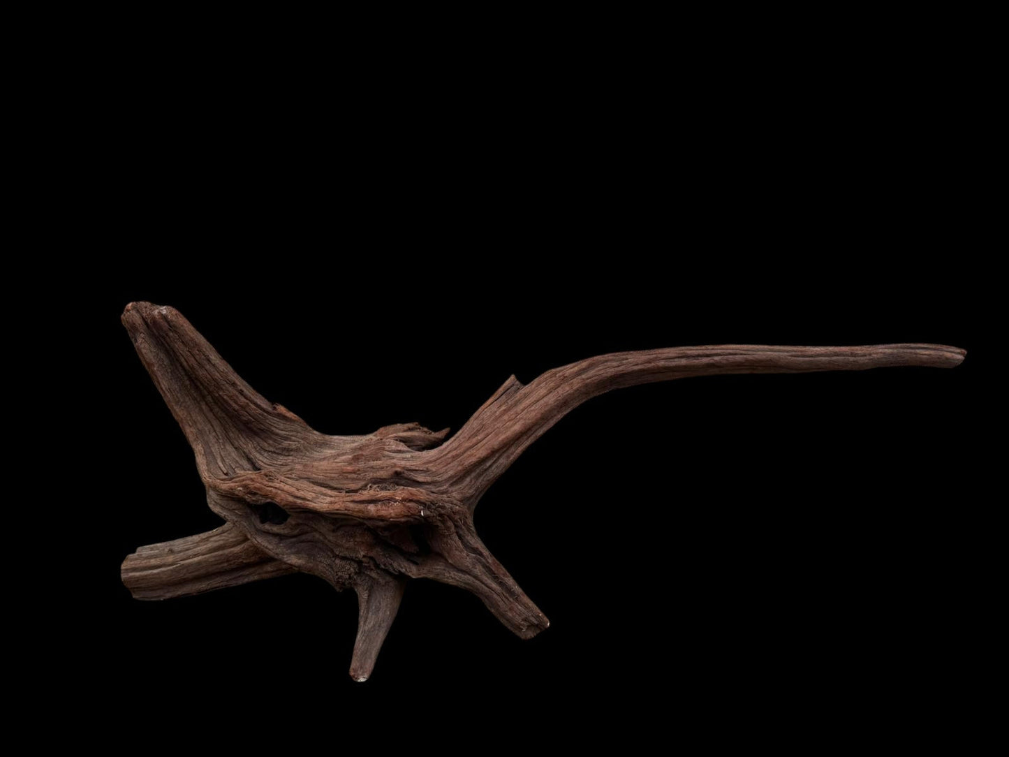 Drift Wood - 67*16*27 - cod.079 AQPET