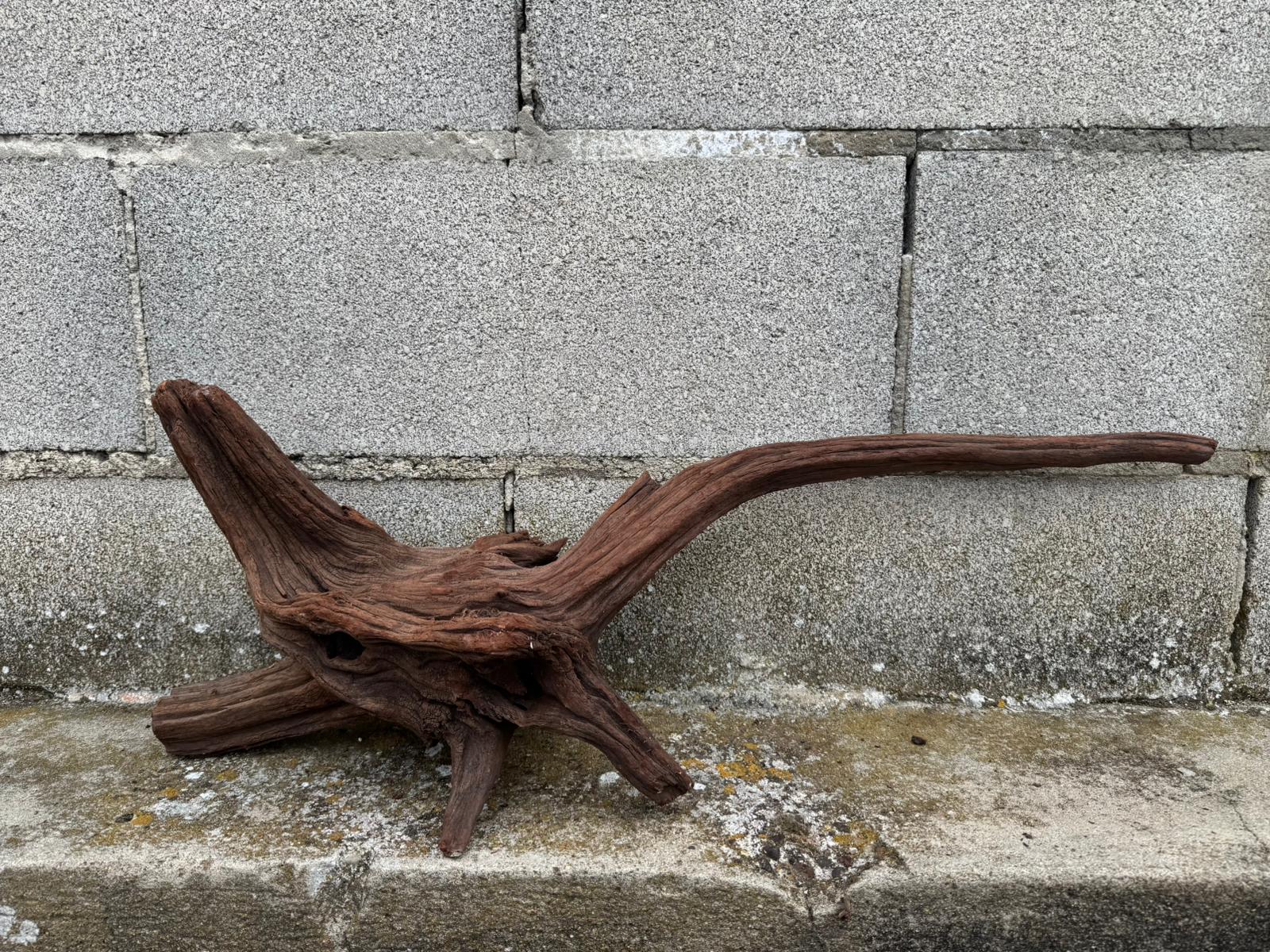 Drift Wood - 67*16*27 - cod.079 AQPET