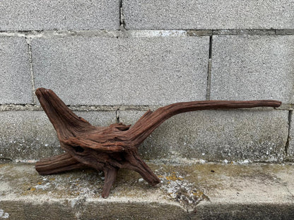 Drift Wood - 67*16*27 - cod.079 AQPET