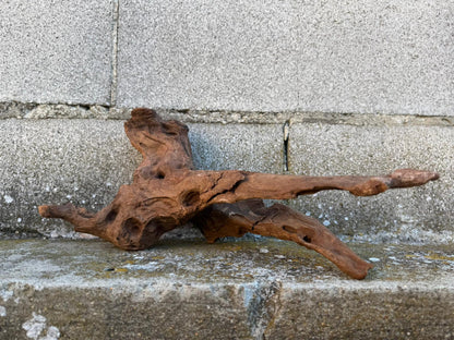 Drift Wood - 38*21*17 - cod.080 AQPET