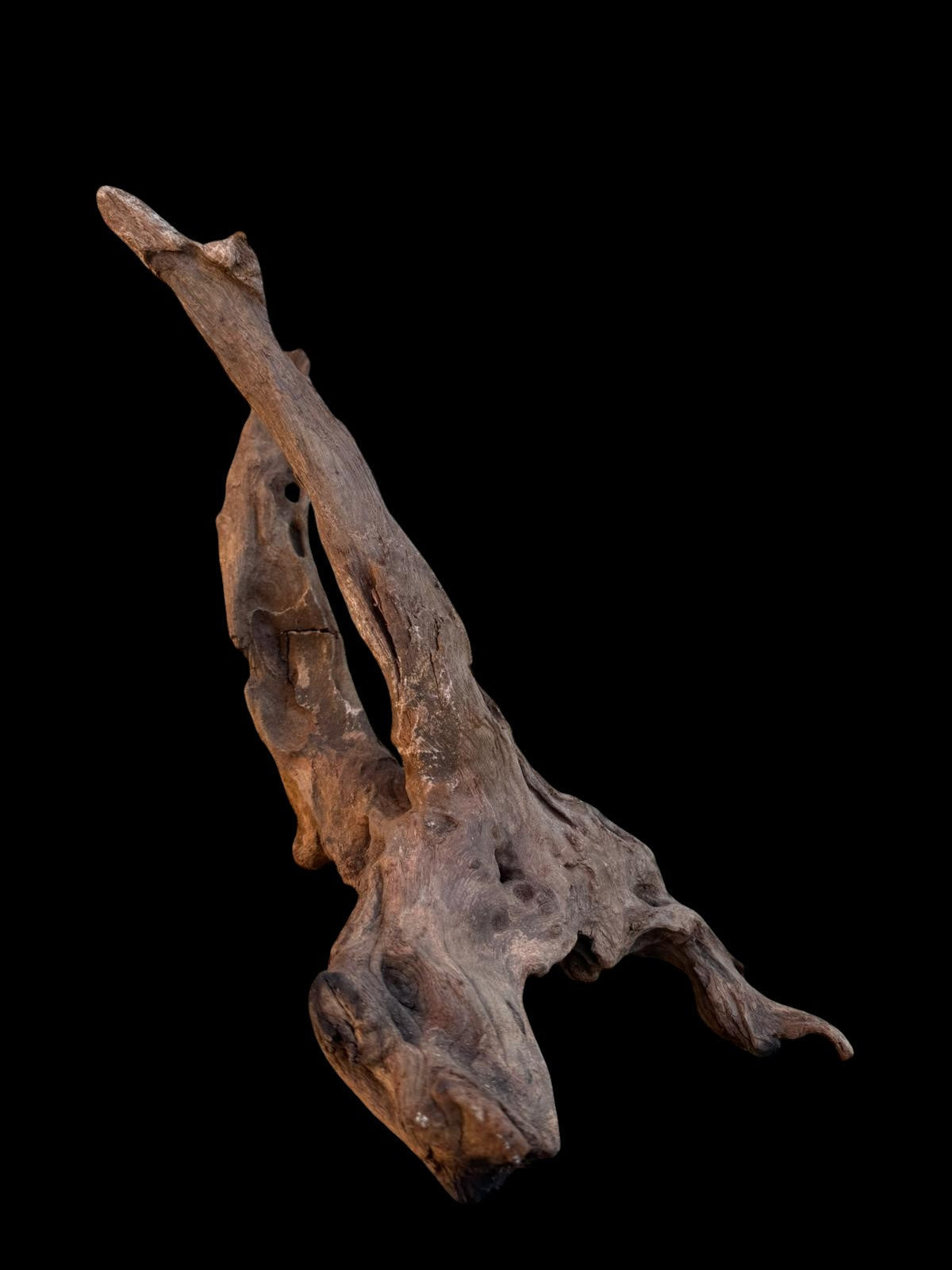 Drift Wood - 38*21*17 - cod.080 AQPET