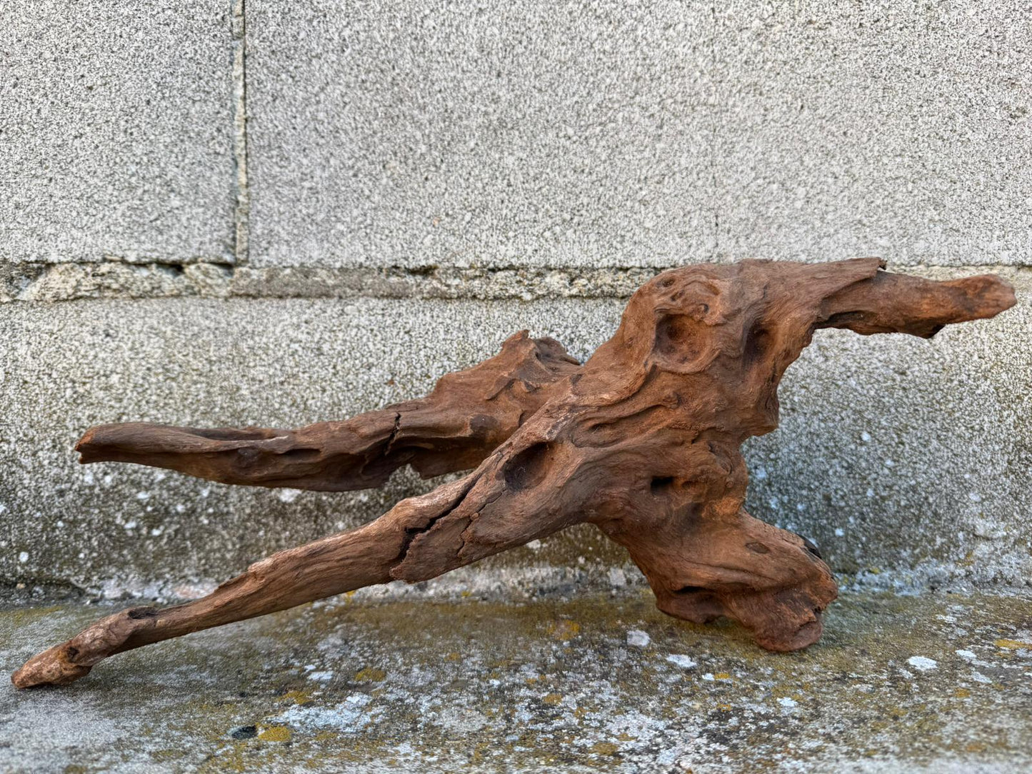 Drift Wood - 38*21*17 - cod.080 AQPET