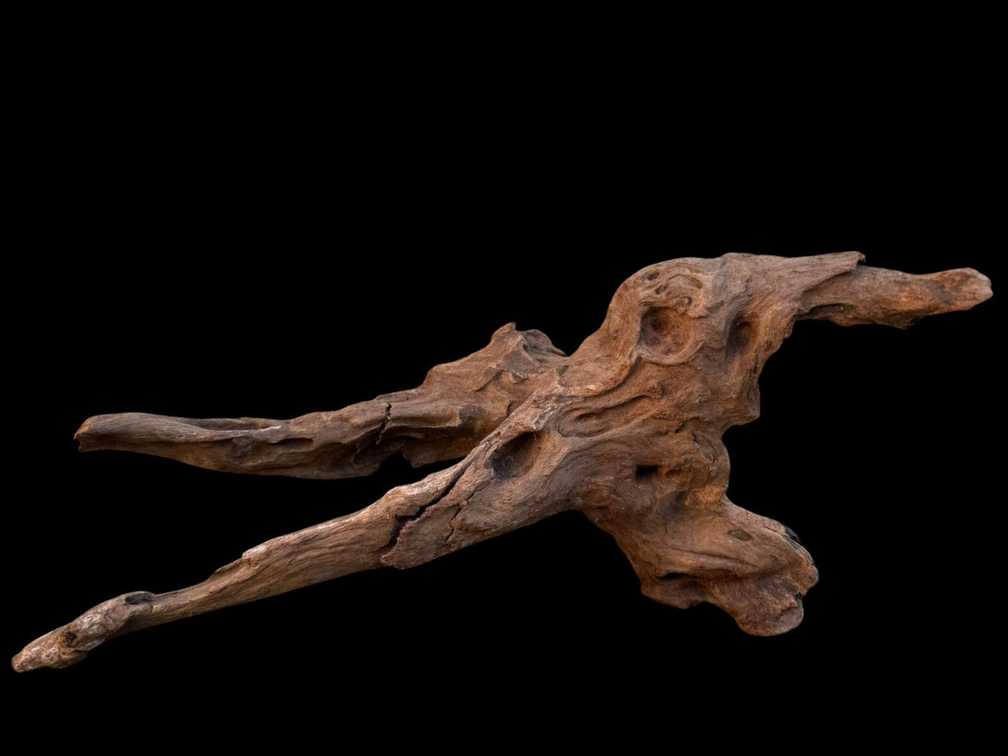 Drift Wood - 38*21*17 - cod.080 AQPET