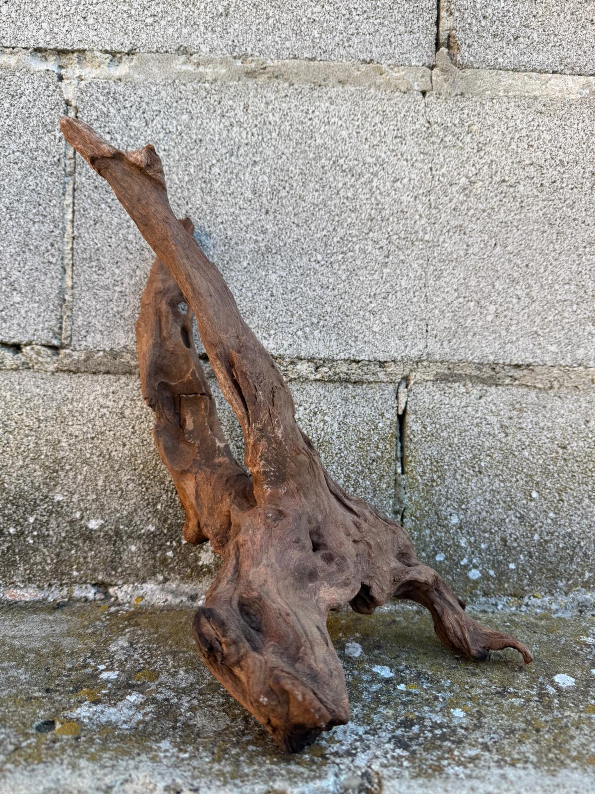 Drift Wood - 38*21*17 - cod.080 AQPET