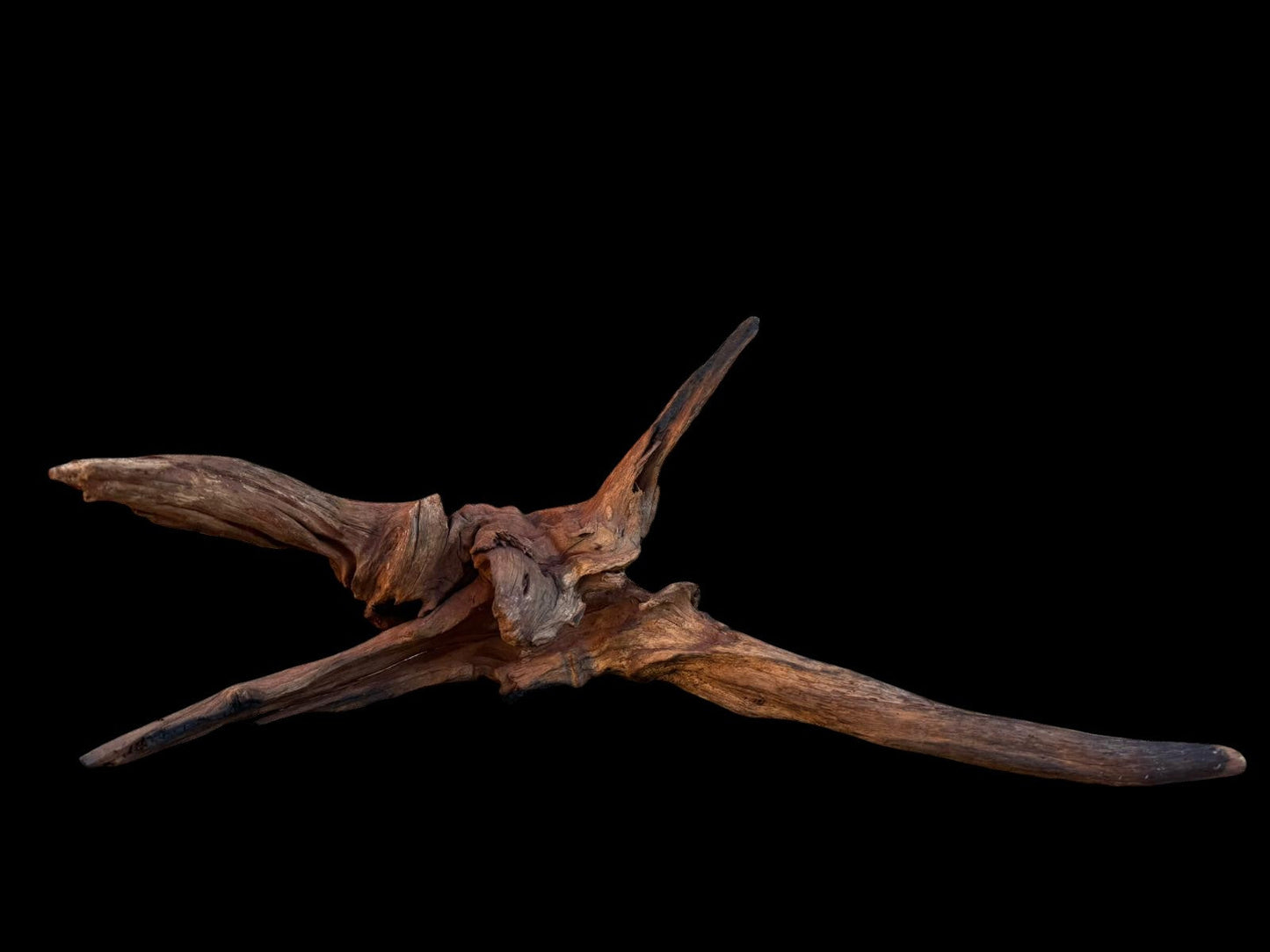 Drift Wood - 44*20*20 - cod.081 AQPET