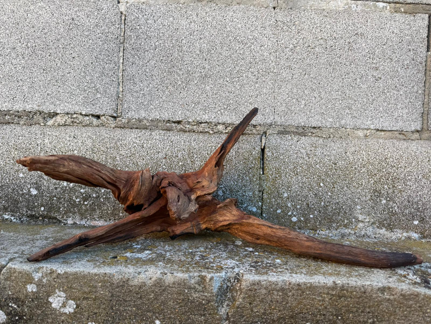 Drift Wood - 44*20*20 - cod.081 AQPET