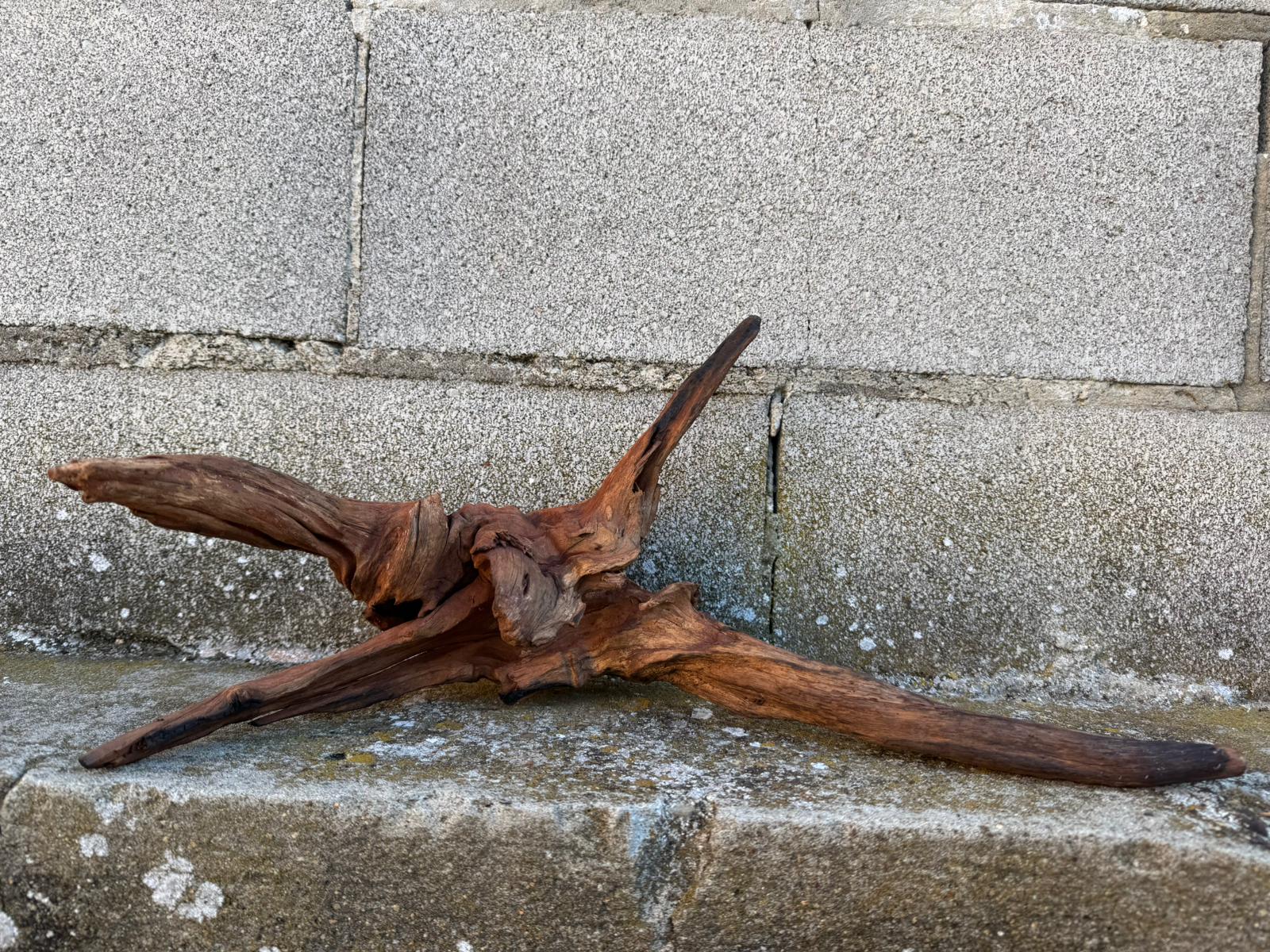 Drift Wood - 44*20*20 - cod.081 AQPET