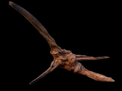 Drift Wood - 44*20*20 - cod.081 AQPET