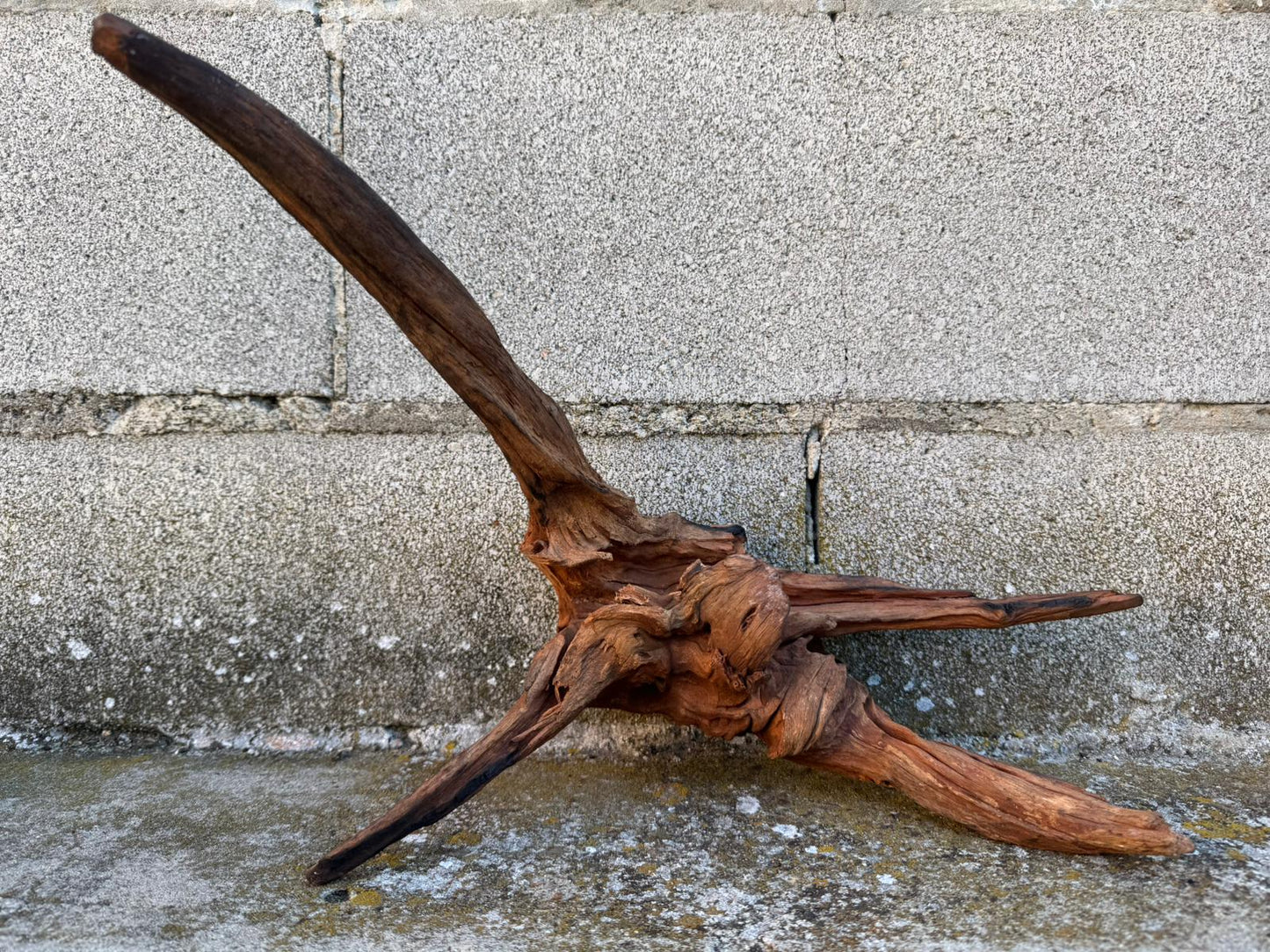 Drift Wood - 44*20*20 - cod.081 AQPET