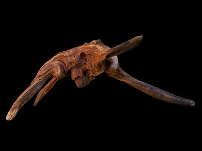 Drift Wood - 44*20*20 - cod.081 AQPET