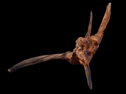 Drift Wood - 44*20*20 - cod.081 AQPET