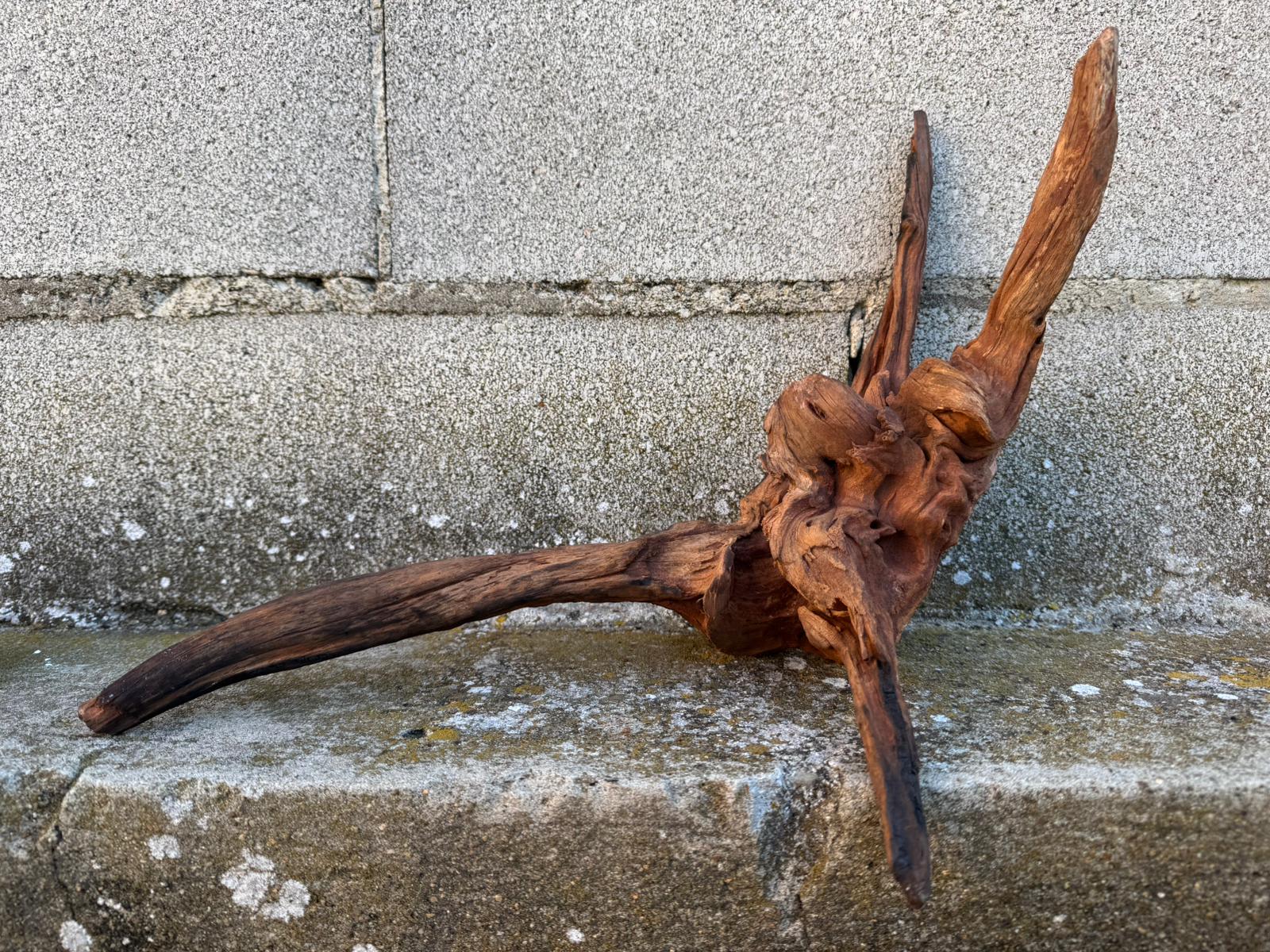 Drift Wood - 44*20*20 - cod.081 AQPET