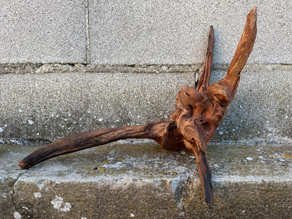 Drift Wood - 44*20*20 - cod.081 AQPET