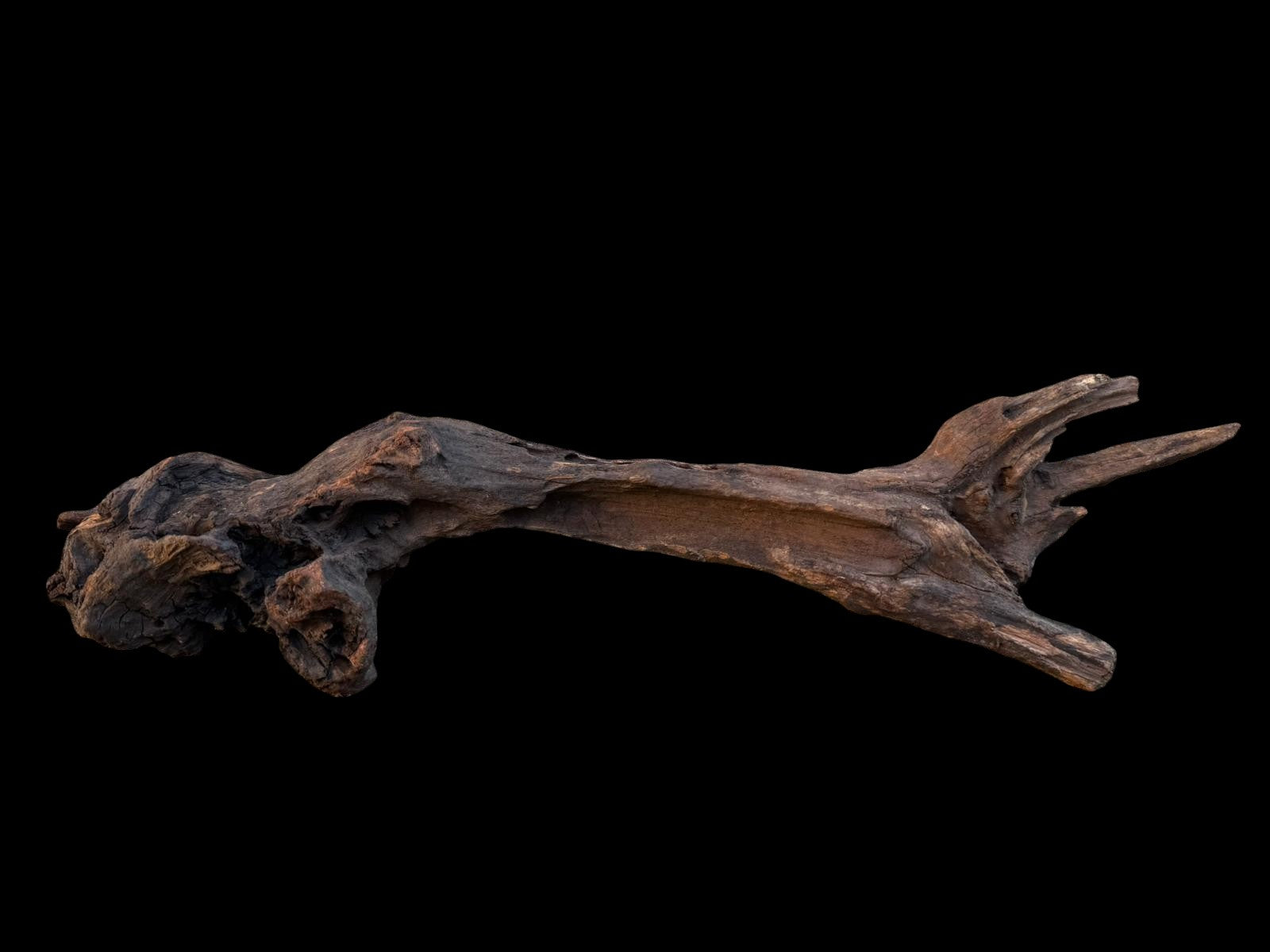 Drift Wood - 37*7*9 - cod.082 AQPET
