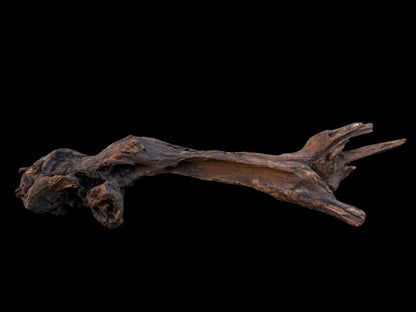 Drift Wood - 37*7*9 - cod.082 AQPET