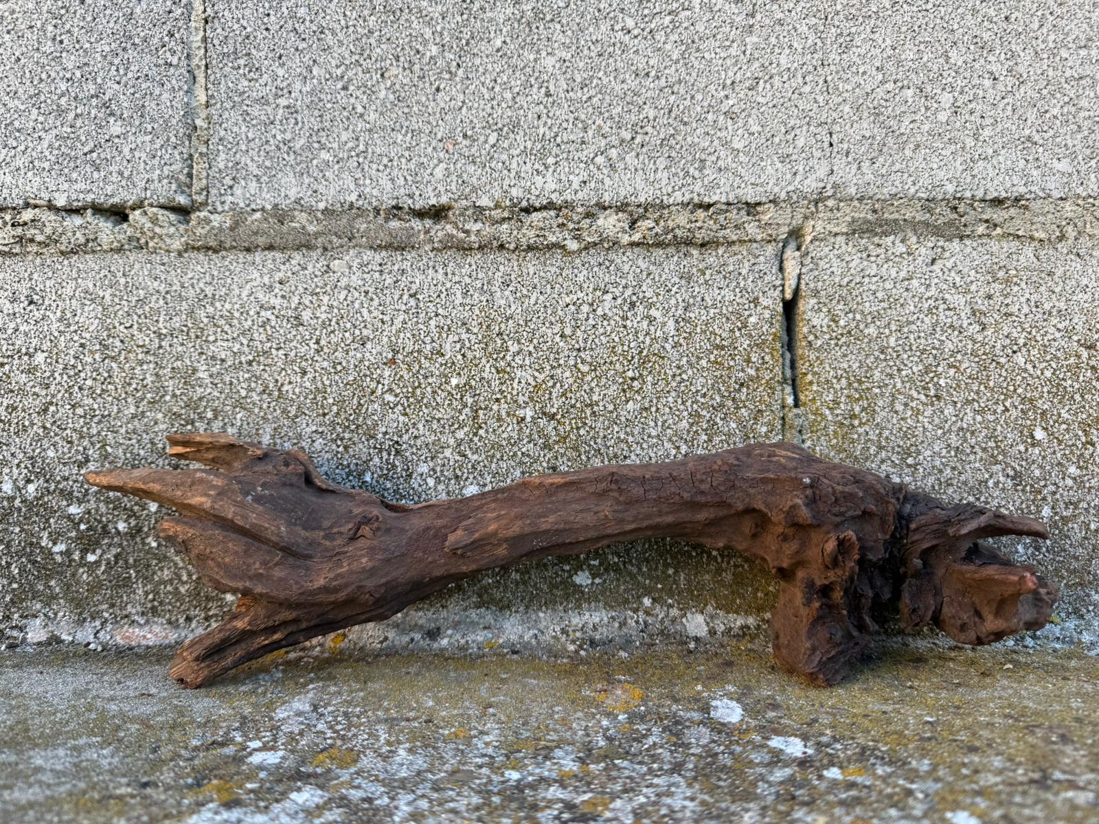 Drift Wood - 37*7*9 - cod.082 AQPET